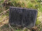 image of grave number 319669